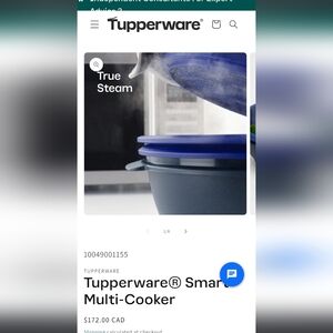 Tupperware multi steamer